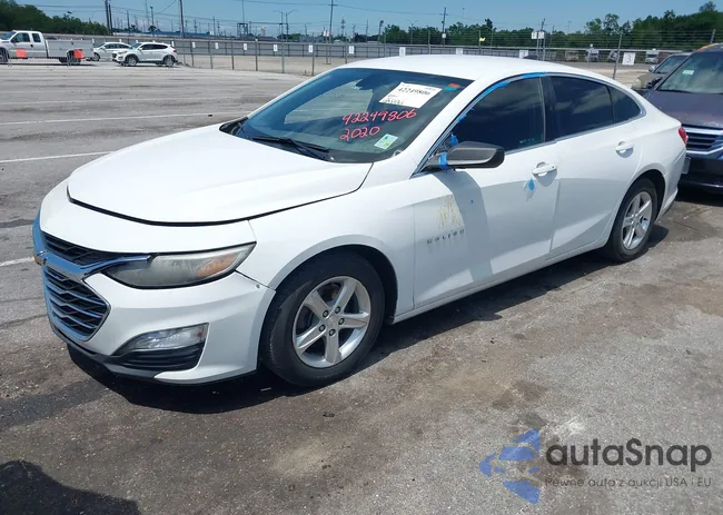 1G1ZB5ST4LF106533: 42249806