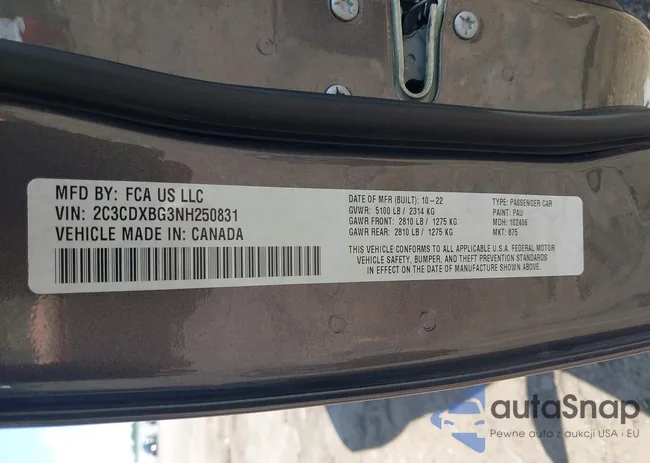 2C3CDXBG3NH250831: 42249273