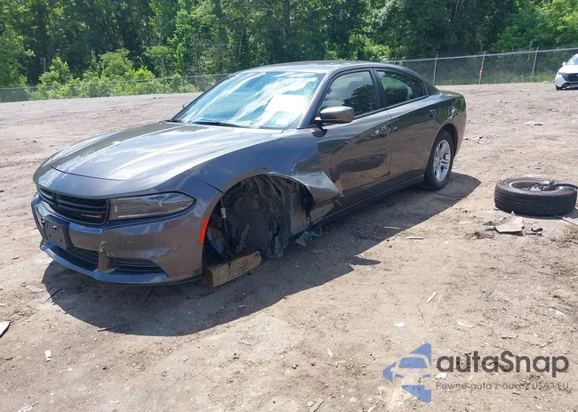 2C3CDXBG3NH250831: 42249273