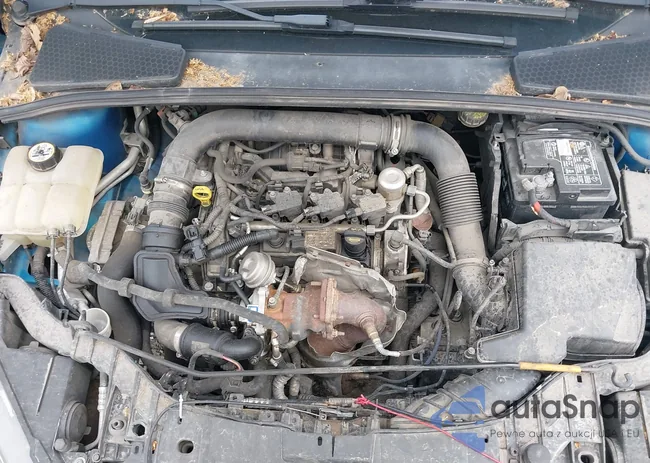 1FADP3FE2GL211832: 42250695