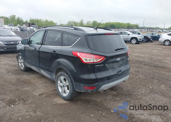 1FMCU9GX5FUB99018: 42250840