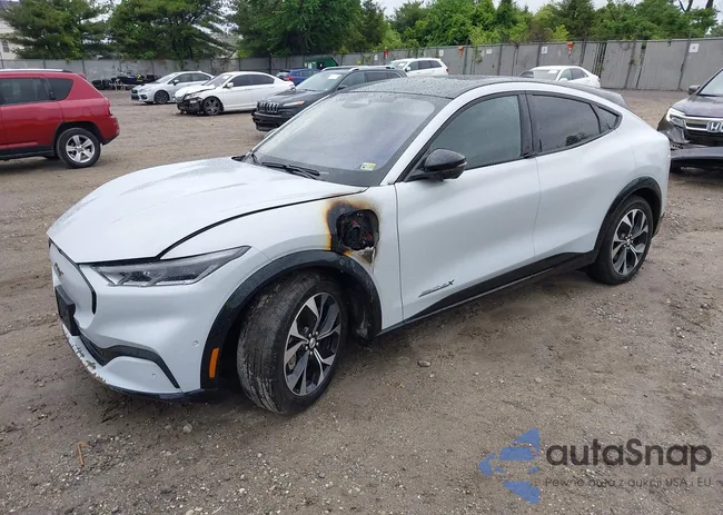 3FMTK3SUXNMA56889: 42251786