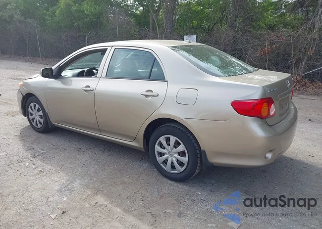 2T1BU40E99C122004: 42251061