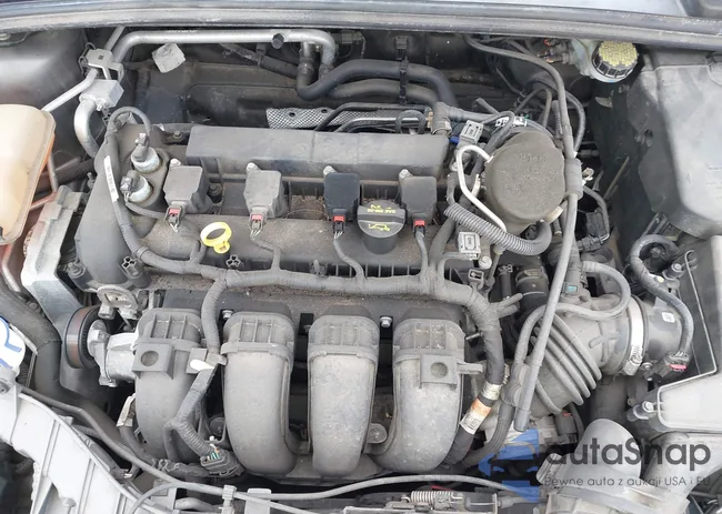 1FADP3K23DL158405: 42251139