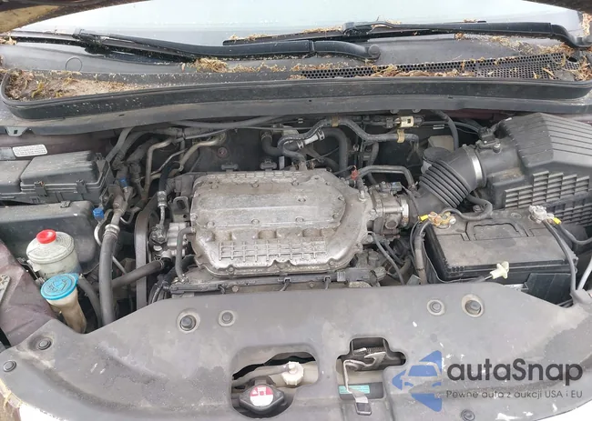 5FNRL38208B103308: 42252553