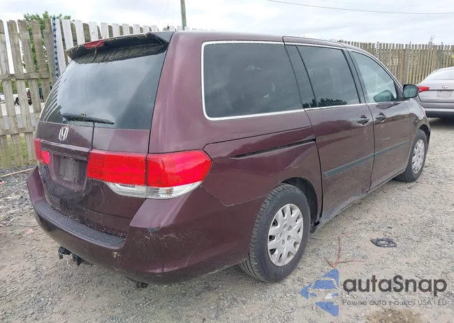 5FNRL38208B103308: 42252553