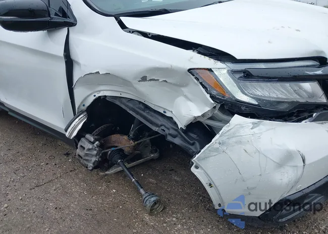 5FNYF8H01LB019179: 42252581