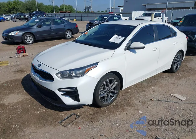 3KPF54AD0LE244828: 42252601