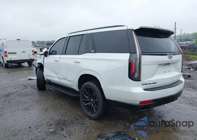 1GYS4EKL1RR351567: 42252664