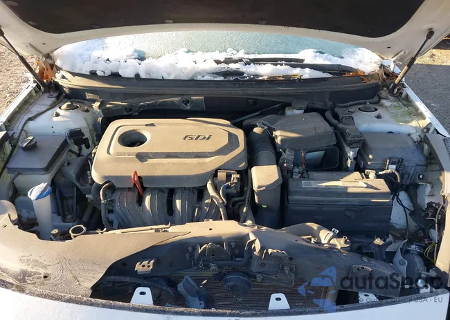 5NPE24AF2GH395242: 42251945