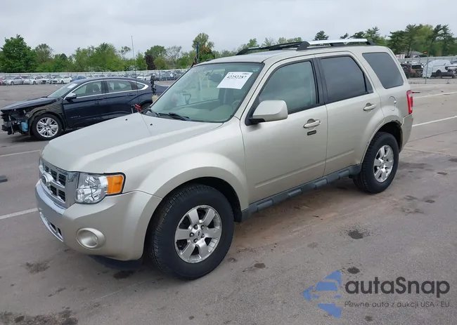 1FMCU0E76BKB27636: 42252287