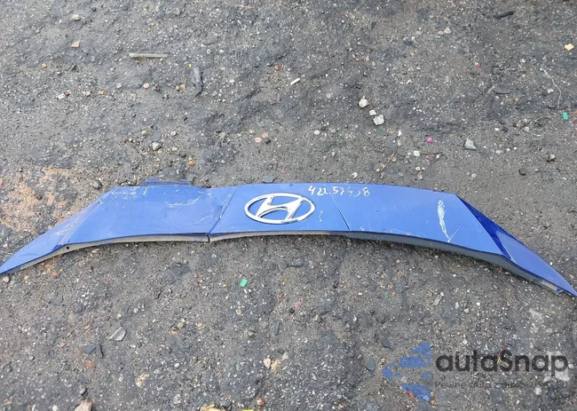 5NPLS4AG7PH090562: 42253438