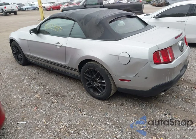 1ZVBP8EM4C5273218: 42253497