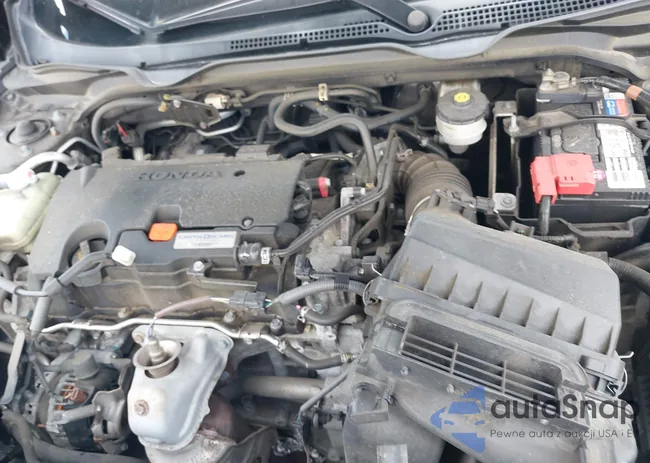 2HGFC2F5XGH559207: 42253048