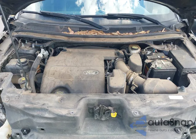 1FM5K7D80FGA17644: 42253239