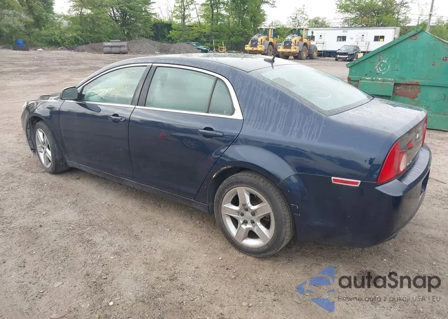 1G1ZB5E17BF173507: 42254611