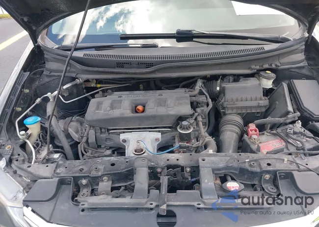 19XFB2F56CE369900: 42255347