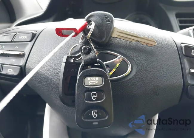 5NPD84LF2KH443953: 42255849