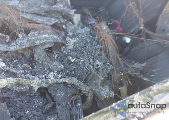 4S4WMAPD9L3434199: 42255264