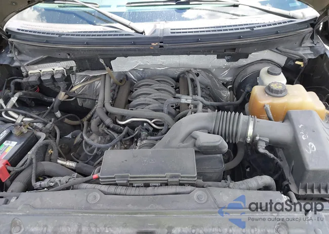 1FTFW1CF5DFA68487: 42256075