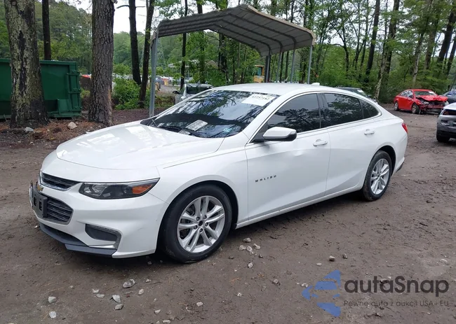 1G1ZD5ST6JF175618: 42257182