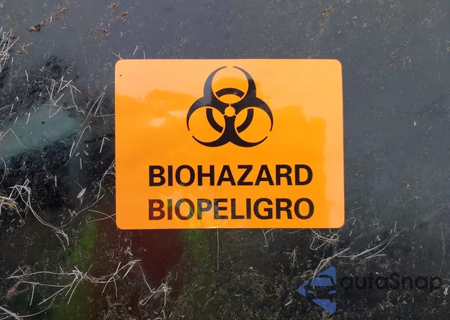 3VV8B7AX8NM006023: 42258466