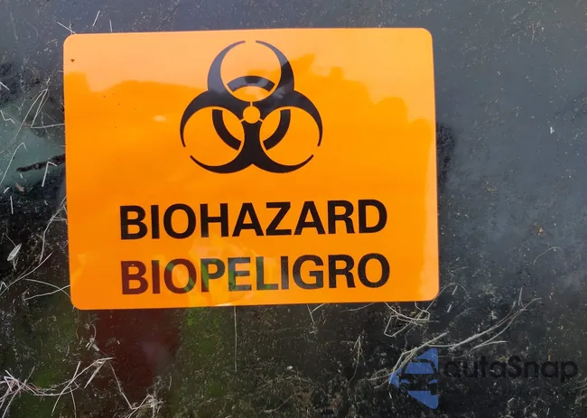 3VV8B7AX8NM006023: 42258466