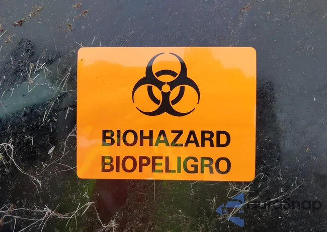 3VV8B7AX8NM006023: 42258466