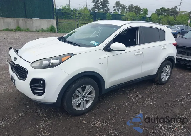 KNDPMCAC6H7032063: 42259690