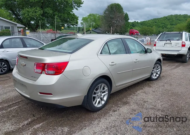 1G11C5SLXFF158473: 42259749