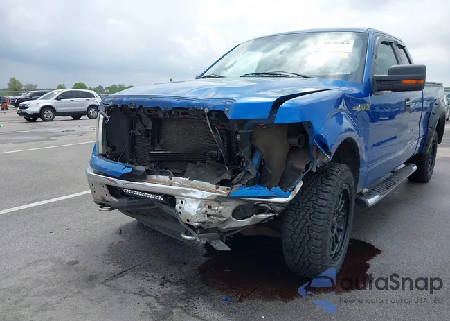 1FTFX1EV6AFB24384: 42259909