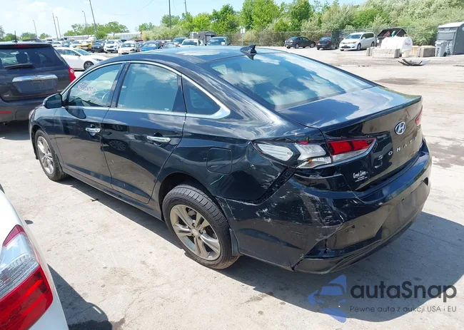 5NPE34AF1KH797081: 42260397