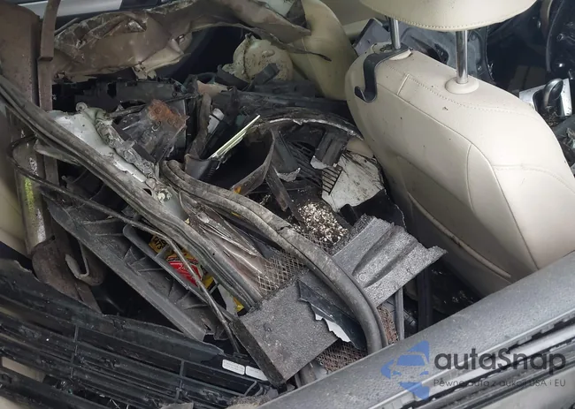 3VWDP7AJ5DM372463: 42260572