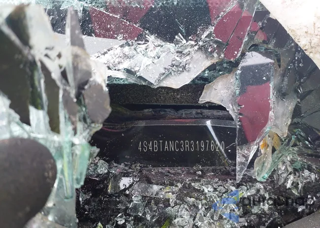 4S4BTANC3R3197620: 42260772