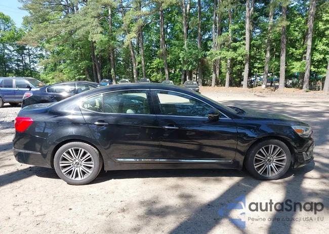 KNALN4D77F5177893: 42261570