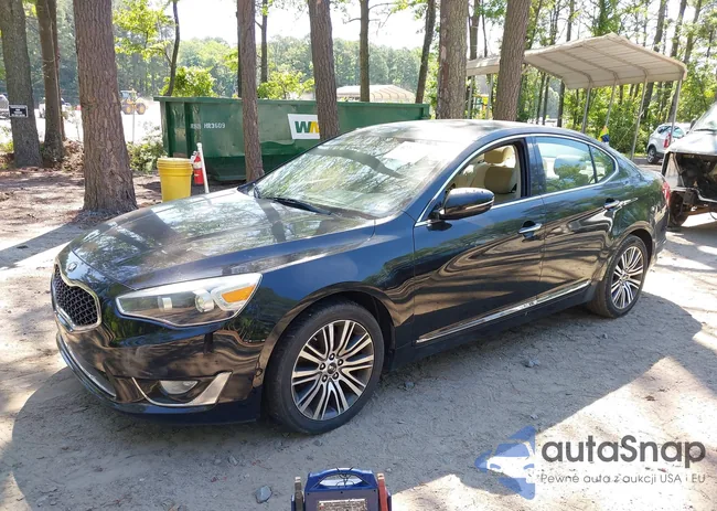 KNALN4D77F5177893: 42261570