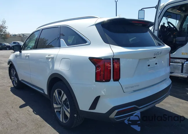 KNDRKDLG0P5208250: 42261172