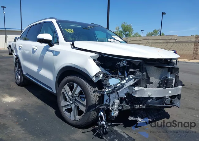 KNDRKDLG0P5208250: 42261172