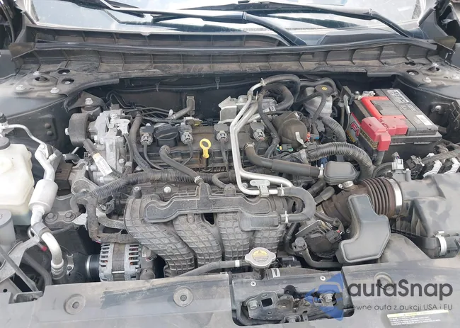 1N4BL4CV2MN317680: 42263762