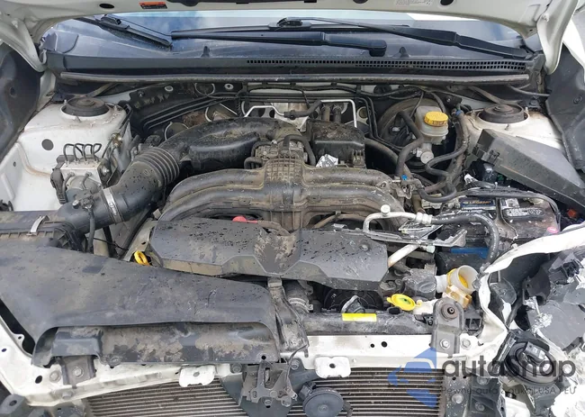 JF2GPABC7H8254536: 42263164