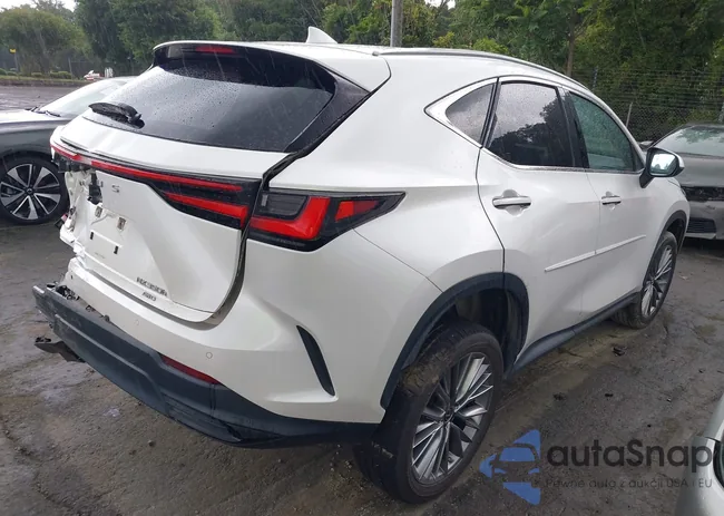 JTJGKCEZ5N5002142: 42264480