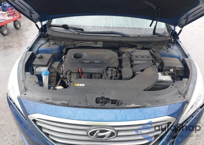 5NPE24AF2HH506972: 42264639