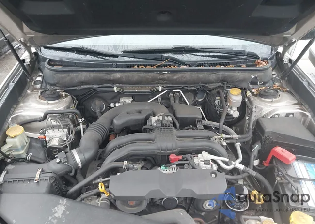 4S4BRBAC5E3297982: 42264731