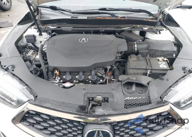 19UUB2F63KA004061: 42264758