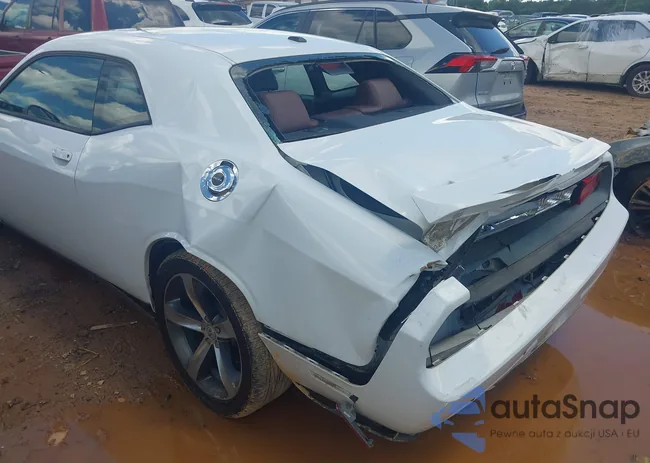 2C3CDYBT9EH293136: 42264180