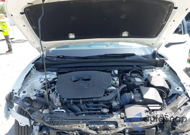 3MVDMBCM2RM719131: 42265739