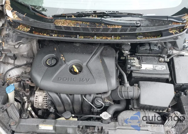 5NPDH4AE5BH025932: 42267588