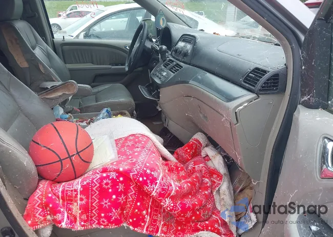 5FNRL38685B031644: 42267739