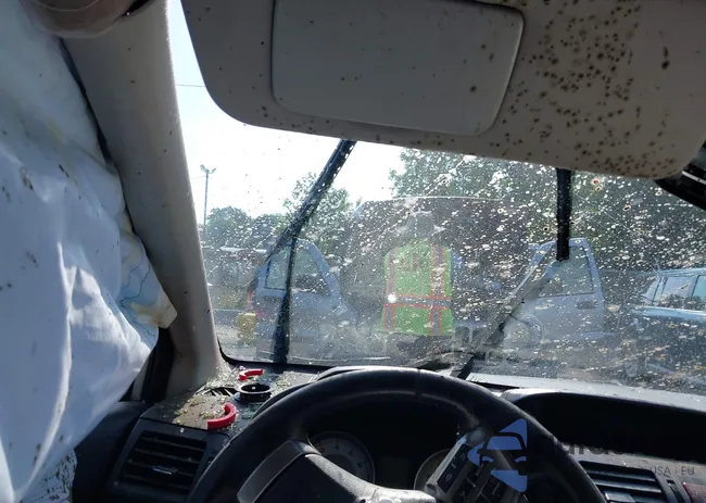 JF1GPAL65E8250056: 42269309