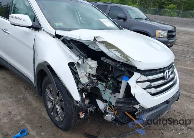 5XYZUDLB9EG227009: 42272191